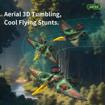 Dragon Remote Controlled Aeroplan