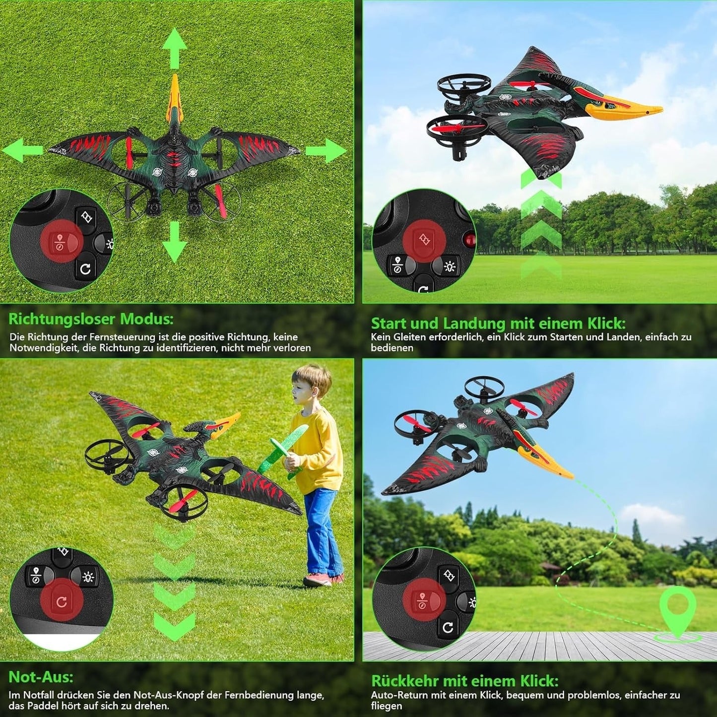 Dragon Remote Controlled Aeroplan